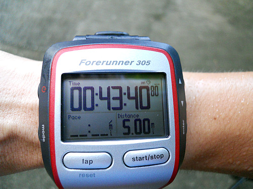 8.8garmin