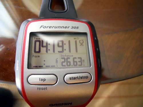 10.31mcmgarmin
