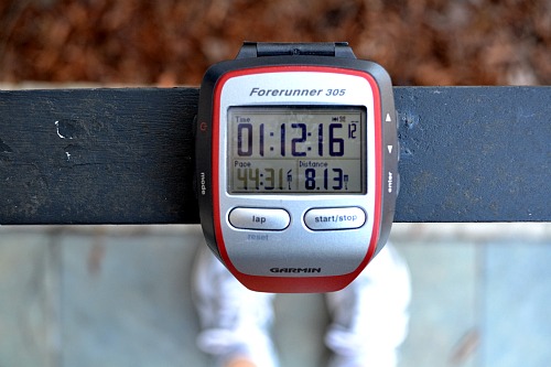 2.6garmin