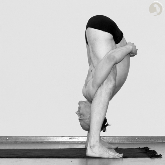 tittibhasana-b-2a