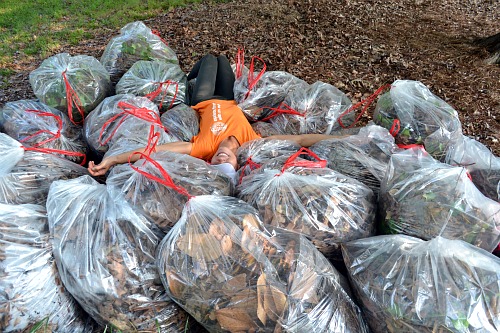 5.30bags2