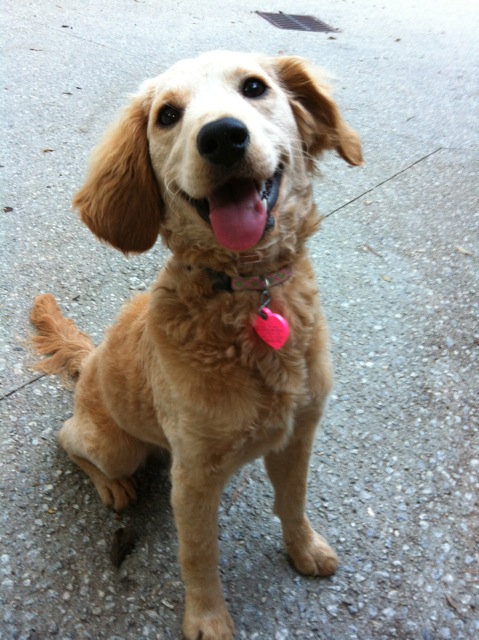 milly