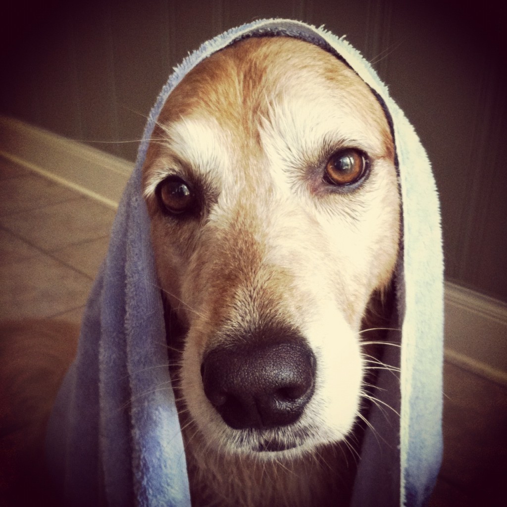 photo (14)