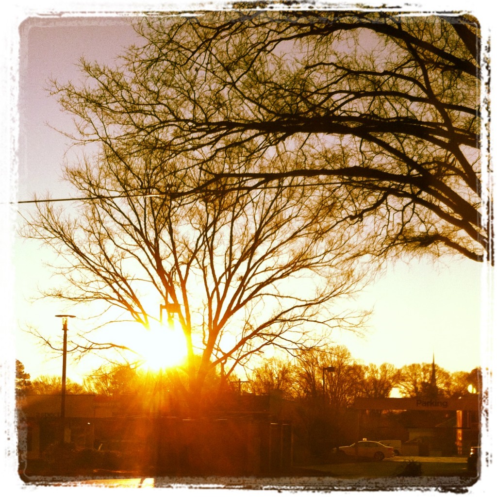 photo-3