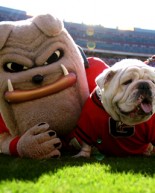 It's GAMEDAY!