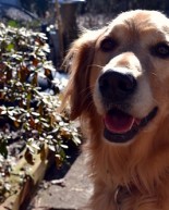 Cookout, Coconut, BodyPump and a Winner