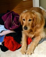 The Solution For Smelly Workout Clothes