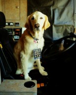 Lighten Up! 5 Things I’m Loving