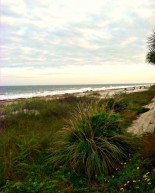 I’m At The Beach
