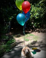 A Year Older, A Year Closer