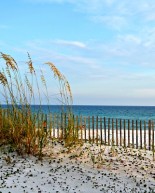 Taking Steps, Making Progress