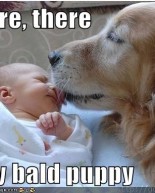 Cute And Sweet