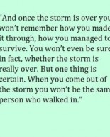 Pumpkin In The Morning