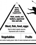 Let’s Talk Paleo