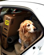 On Why You Should Not Go To Ikea Solo