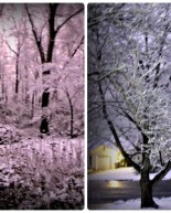 Snow + Yoga + Food