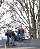 Taking the Bitter with the Sweet