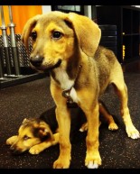 Stop saying I don’t know.