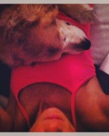 Puppies & Pizza