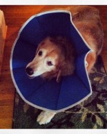 Sullie’s Cone Head + Headband Giveaway Winners