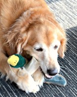 Sweet Sullie + Yoga Love + Run Inspiration