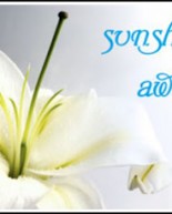 A Little Sunshine for your Sunday