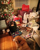 Wrapping It Up