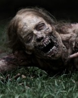 For Your Entertainment: Zombies, Books, Movies & More
