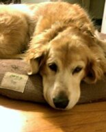 Day In The Life Thursday