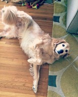 Sweet Sullie + How Much Do You Value Yourself?