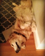 Weekend: Slowing Down + Opening Up