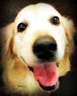 My Perfect Friday Night + Day In The Life