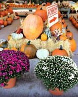 Weekend: Embracing Fall + Slowing Down