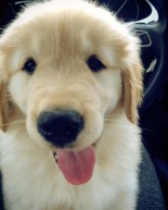 Happy Friday! Zoey Video Blog + Giveaway Winners