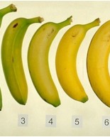 Let’s Talk Bananas + Weekly Workouts