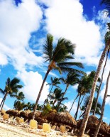 Friday in Paradise