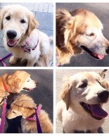 This Week’s Playlist + Workouts (Lots of Squats!)