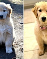 Thank You + Zoey at Four Months + Recent Eats