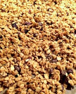 A Fun “Celebrity” Week + Should the pups get their own Instagram account?