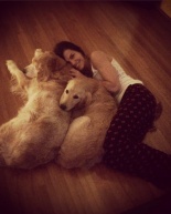 Adding a Second Dog to the Family + Zoey at Six Months