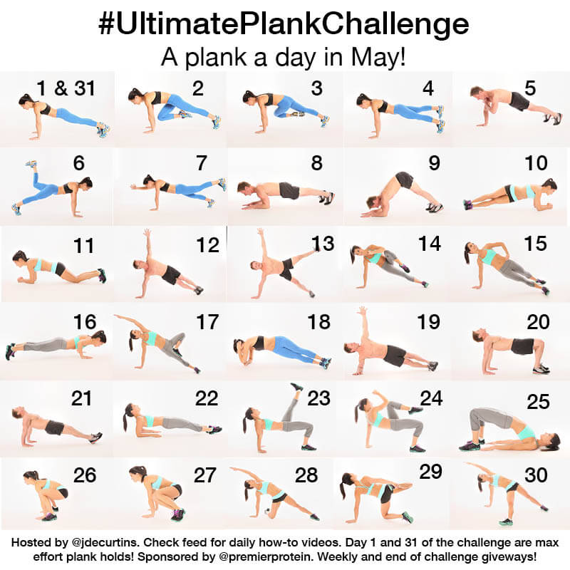 Wantrouwen Uitstekend ondeugd Ultimate Plank Challenge: Week Three Recap