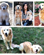 Week in Eats, National Dog Day, Music and Peanut Butter