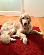 Zoey Update + Yoga Retreat Update