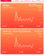 NYC By the Numbers + Weekly Workouts