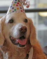 Friday I’m In Love: David Williams, Costco Instant Savings, Weather and More!