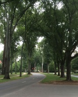 My 7 Favorite Ways to Sweat in Charlotte