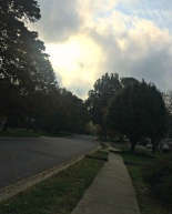 Weekly Workouts: Loving the Long Run