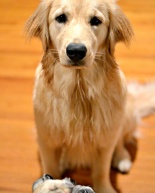 20 Top October Favorites Playlist on Spotify