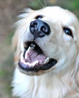 Zoey’s First Birthday + Embracing “There’s NEVER a Right Time!”