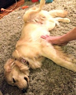 Life Lately + The Microwave Conundrum